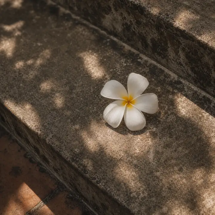 ดอกลีลาวดีสีขาวบนขั้นหินเก่าในแสงเช้า